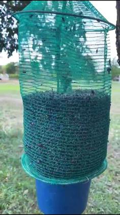 Imagem de Armadilha De Tela + Refil  Atrativo Para Mosca 2 Litros