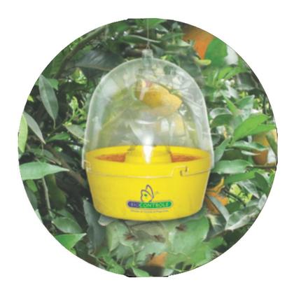 Apanhador Insetos UV LED - Armadilha Ecológica Moscas Mosquitos