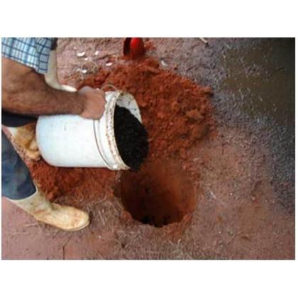 Imagem de Armadilha para Mosca com Atrativo  Papa Mosca