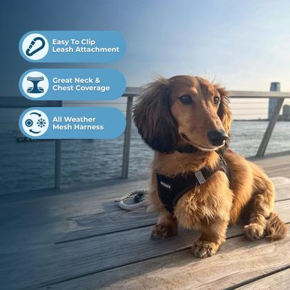 Imagem de Arnês para cães Voyager Step-in Air All Weather Black XXXS