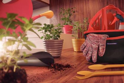 Imagem de Arrancador De Inço C/ Cabo de Madeira Tramontina 