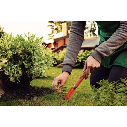 Imagem de Arrancador de Inço Metalico para Jardinagem Tramontina com Cabo de Madeira