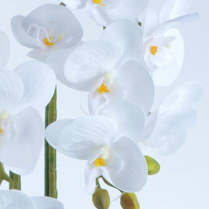 Imagem de Arranjo 2 Orquídeas Artificiais Brancas em Aquário Prata Maísa
