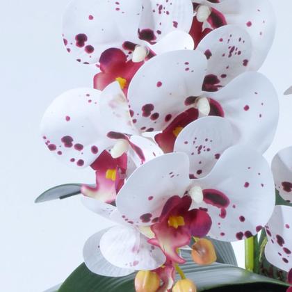 Imagem de Arranjo 4 Orquídeas Artificiais Tigre em Terrário Prata Mari