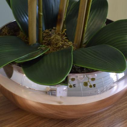 Imagem de Arranjo com Três Hastes de Orquídeas Brancas no Vaso Bronze