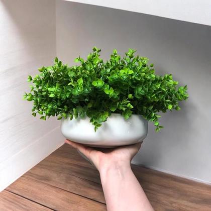 Imagem de Arranjo de Eucaliptos Artificiais em Vaso Branco Noah