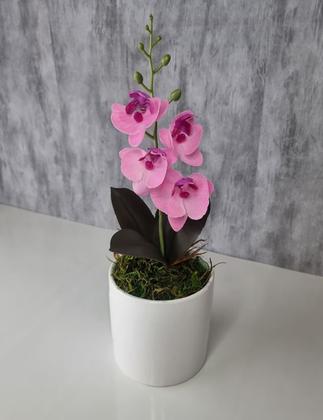 Imagem de Arranjo De Mini Orquídea Rosa Vaso Branco Redondo