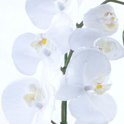 Imagem de Arranjo de Orquídea Artificial Branca em Aquário Cobre Luiza