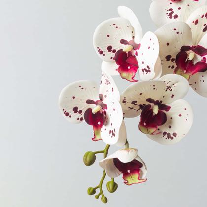 Imagem de Arranjo de Orquídea Artificial Branca em Centro de Mesa com Vaso de Vidro - Zent Future