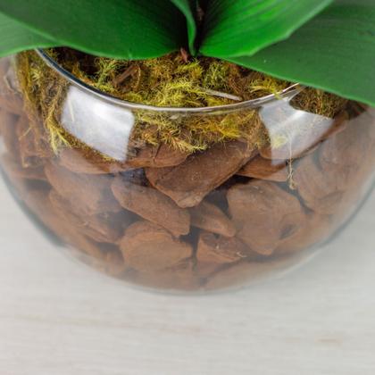 Imagem de Arranjo de Orquídea Artificial Branca em Centro de Mesa com Vaso de Vidro - Zent Future