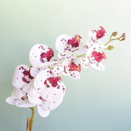 Imagem de Arranjo de Orquídea Artificial Tigre no Vaso Vidro  Formosinha