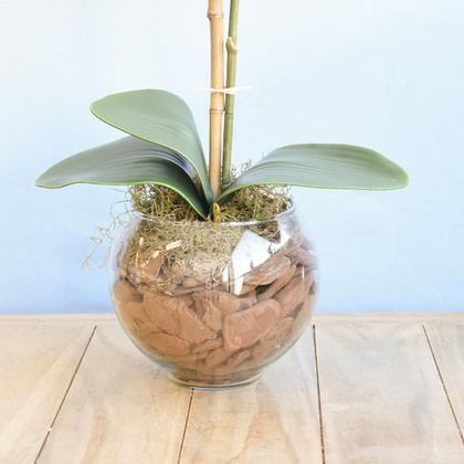 Imagem de Arranjo de Orquídea Branca de Silicone no Vaso Vidro P  Formosinha