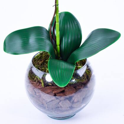 Imagem de Arranjo de Orquídea Branca Toque Real Classic
