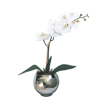 Imagem de Arranjo de Orquídea de Silicone Branca no Vaso Prateado  Formosinha