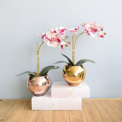Imagem de Arranjo de Orquídea de Silicone Tigre no Vaso Dourado  Formosinha