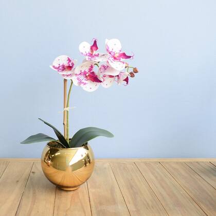 Imagem de Arranjo de Orquídea de Silicone Tigre no Vaso Dourado  Formosinha
