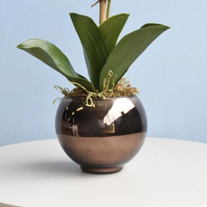Imagem de Arranjo de Orquídea Rosa 3D no Vaso Bronze P  Formosinha
