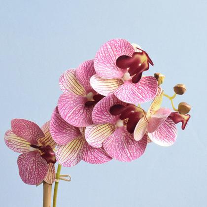 Imagem de Arranjo de Orquídea Rosa 3D no Vaso Bronze P  Formosinha