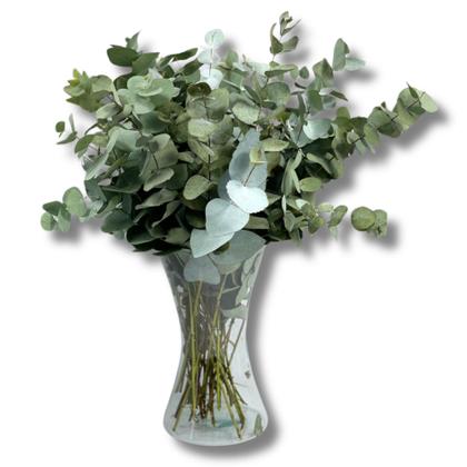 Imagem de Arranjo Floral Eucalipto Desidratado Com Vaso Vidro Julieta