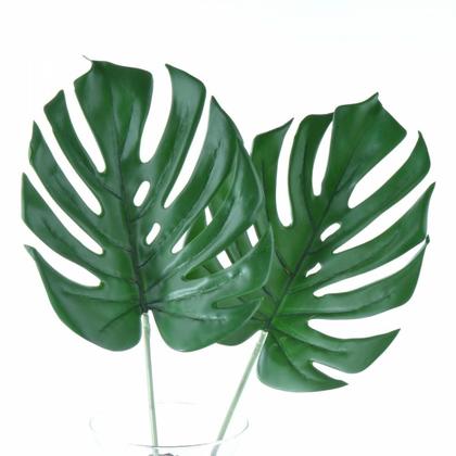 Imagem de Arranjo Solitário de Costela de Adão