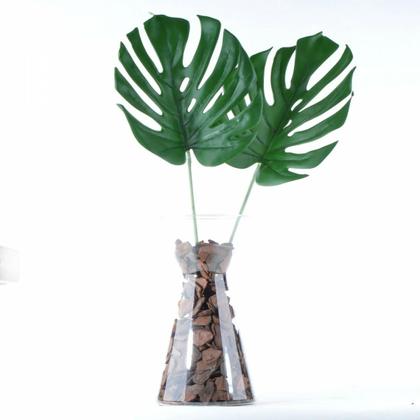 Imagem de Arranjo Solitário de Costela de Adão