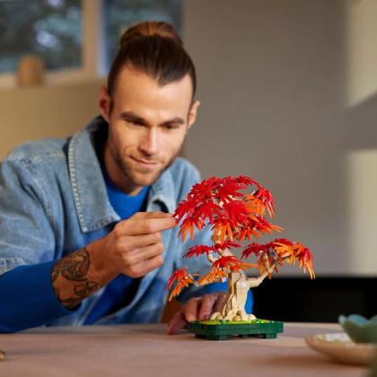 Imagem de Árvore de Bonsai Bordo Japonês Vermelho Lego Botânica