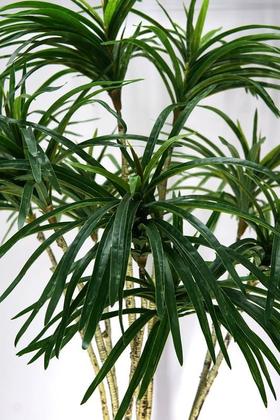 Imagem de Árvore Planta Artificial Dracena 164cm Grande Folhagem Luxo