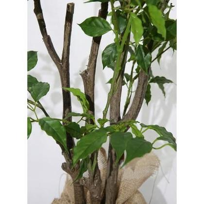 Imagem de Árvore Planta Artificial Ornamental Esmeralda Folhagem Tropical Grande Decorativa