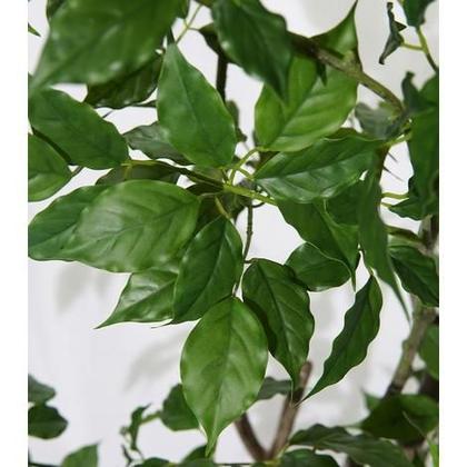 Imagem de Árvore Planta Artificial Ornamental Esmeralda Folhagem Tropical Grande Decorativa