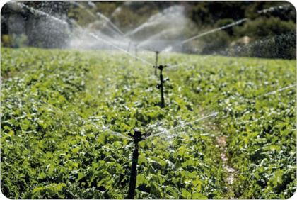 Imagem de Aspersor Agrícola de Impacto IM35 Com Rosca 3/4" - Escolha a Vazão