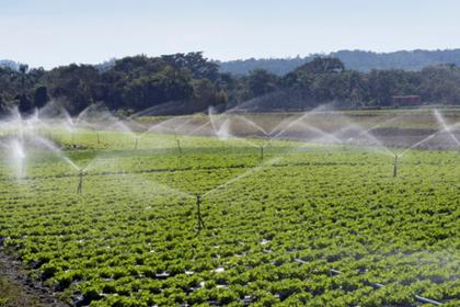 Imagem de Aspersor Impacto Irrigação IM22 Rosca 1 Polegada Kit 30 Un