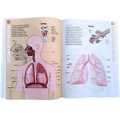 Imagem de Atlas Escolar do Corpo Humano Colorido - Anatomia