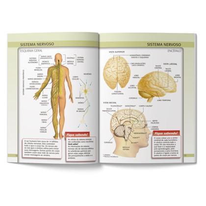 Imagem de Atlas Ilustrado do Corpo Humano Livro Escolar Educativo