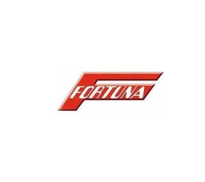 Imagem de Bagageiro preto reforcado fortuna para factor 150 ate 2019