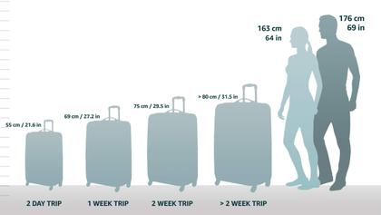 Imagem de Bagagem Samsonite Winfield 2 Hardside expansível de 28 polegadas roxa