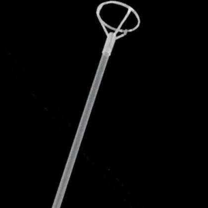 Imagem de Balão Bubble LED Cores