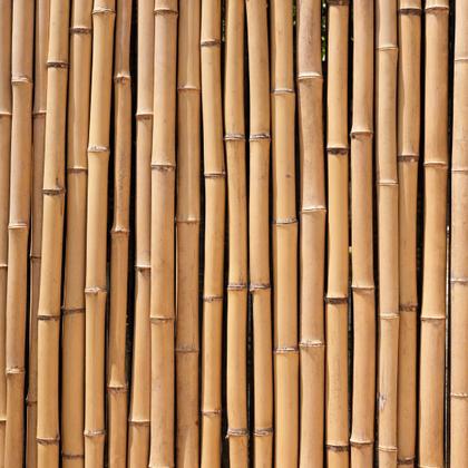 Imagem de Bambu Cavo Tratado Para Artesanato: 50cm x 2.5cm - 12un