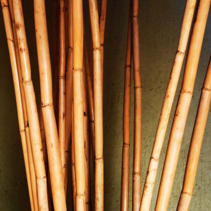 Imagem de Bambu Cavo Tratado Para Artesanato: 50cm x 2.5cm - 12un