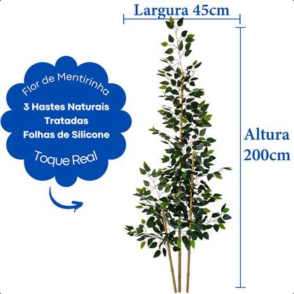 Imagem de Bambu Da Sorte Artificial 2 Metros Grande Sem Vaso Decoração