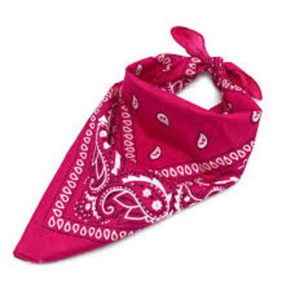 Imagem de Bandana Faixa Lenço Cabelo Estilo Rock Blogueira Skate Tumblr Moda Tendência Famosos Cores