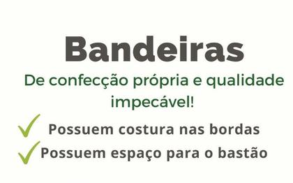 Imagem de Bandeira do Brasil 1,50m x 0,95m  Com Espaço para Haste  Copa do Mundo  Orgulho Nacional