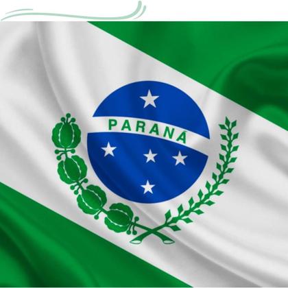 Imagem de Bandeira Estado do Paraná 1,50m X 0,9 m Envio Imediato