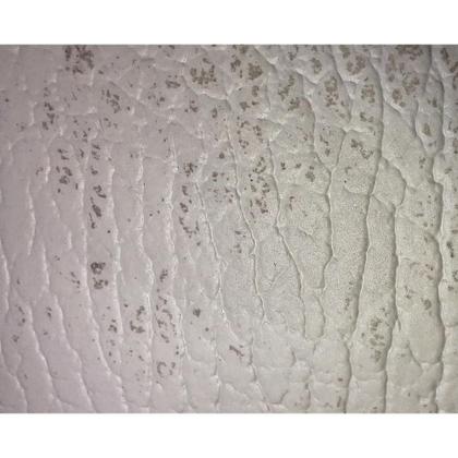 Imagem de Bandeja Espelhada Vale em Couro Branco