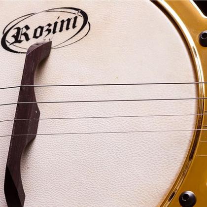 Imagem de Banjo Profissional Rozini Mário Sérgio RJ12ELN