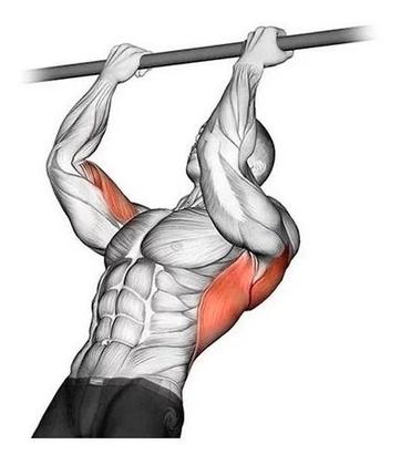 Imagem de Barra Fixa Parede Musculação Pull-up Pegada Neutra E Aberta