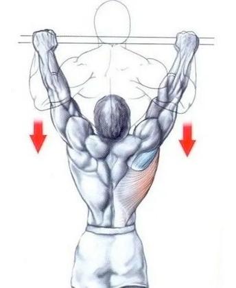 Imagem de Barra Fixa Parede Musculação Pull-up Pegada Neutra E Aberta