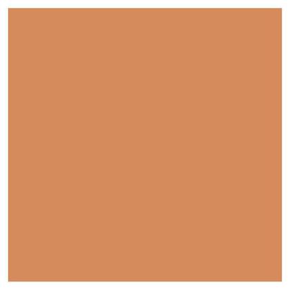 Imagem de Base Liquida Skin Illusion FPS 15 Clarins 113 Chestnut 30ml