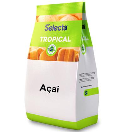 Imagem de Base Saborizante de Sorvete Selecta Tropical Açai 1kg