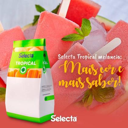 Imagem de Base Saborizante de Sorvete Selecta Tropical Graviola 1kg