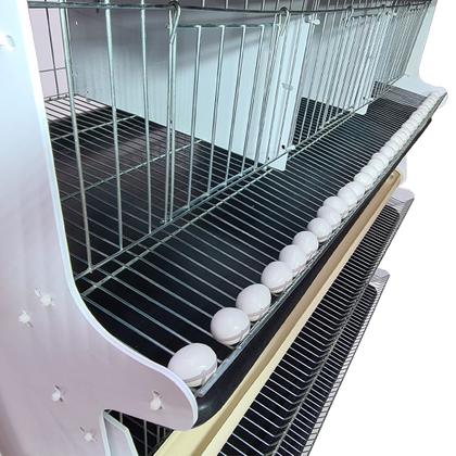 Imagem de Bateria com 5 Gaiolas para codorna ou codornão bebedouro automático - Gaia